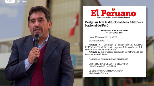 imagen de la publicacion