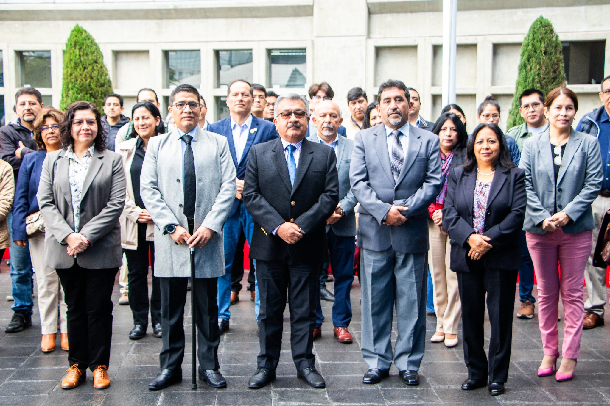 imagen de la publicacion