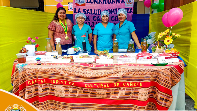 En esta fecha se busca motivar a una alimentación sana y disminuir el hambre a nivel mundial, vuestra Municipalidad Distrital de Lunahuaná representando por la Regidora Srta. Vicki Rubi Vicente de la Cruz, Representante del Centro de Salud Lic. Rocy Garay Rodríguez Participaron del Dia Mundial de la Alimentación, evento que se desarrolló en la Plaza de Armas de San Vicente de Cañete. 
La conmemoración de esta fecha tuvo como origen en el año 1979 a raíz de un consenso que fue acordado por la Organización de las Naciones Unidas para la Agricultura y la Alimentación (FAO). Esta acción se realizó de manera conjunta por 150 países de diferentes partes del mundo. 
