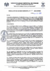 Vista preliminar de documento RGM-839
