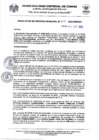 Vista preliminar de documento RGM-838