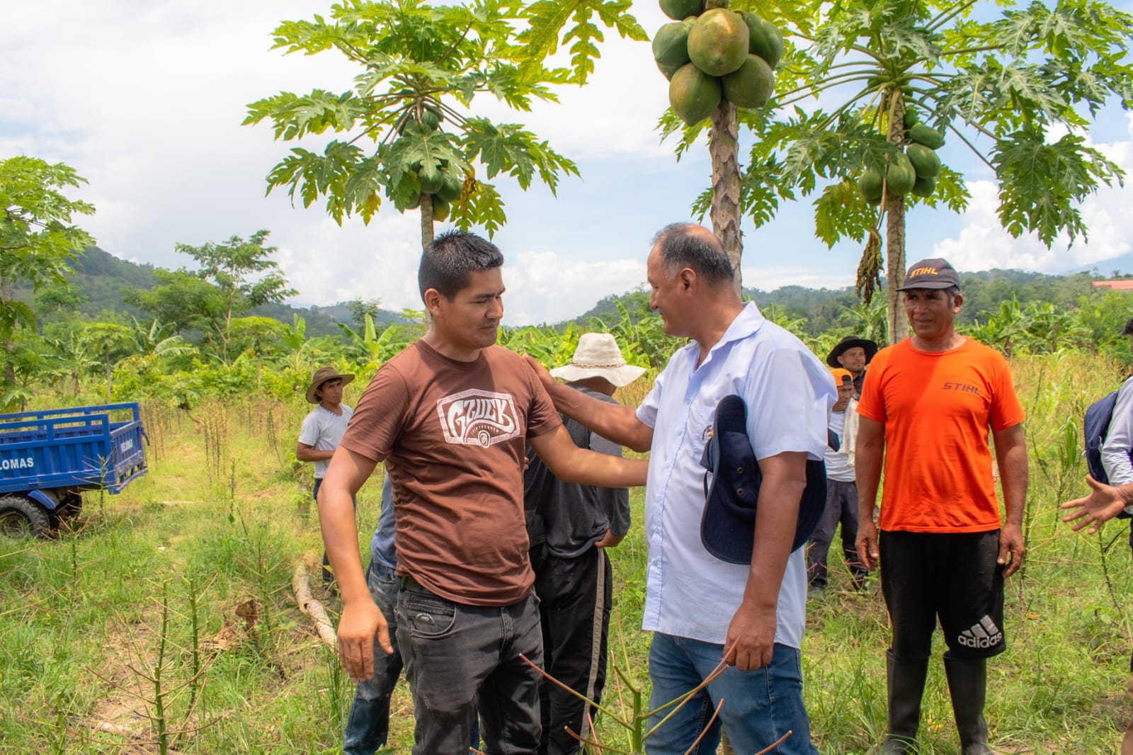 El alcalde de Kimbiri inspecciona parcelas de yuca afectadas por plaga de gusanos