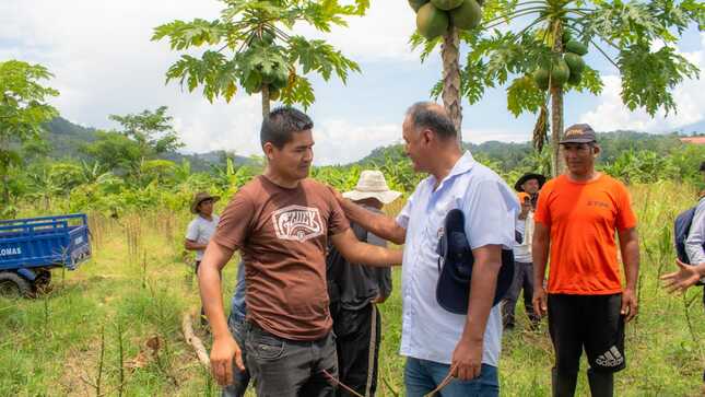 El alcalde de Kimbiri inspecciona parcelas de yuca afectadas por plaga de gusanos