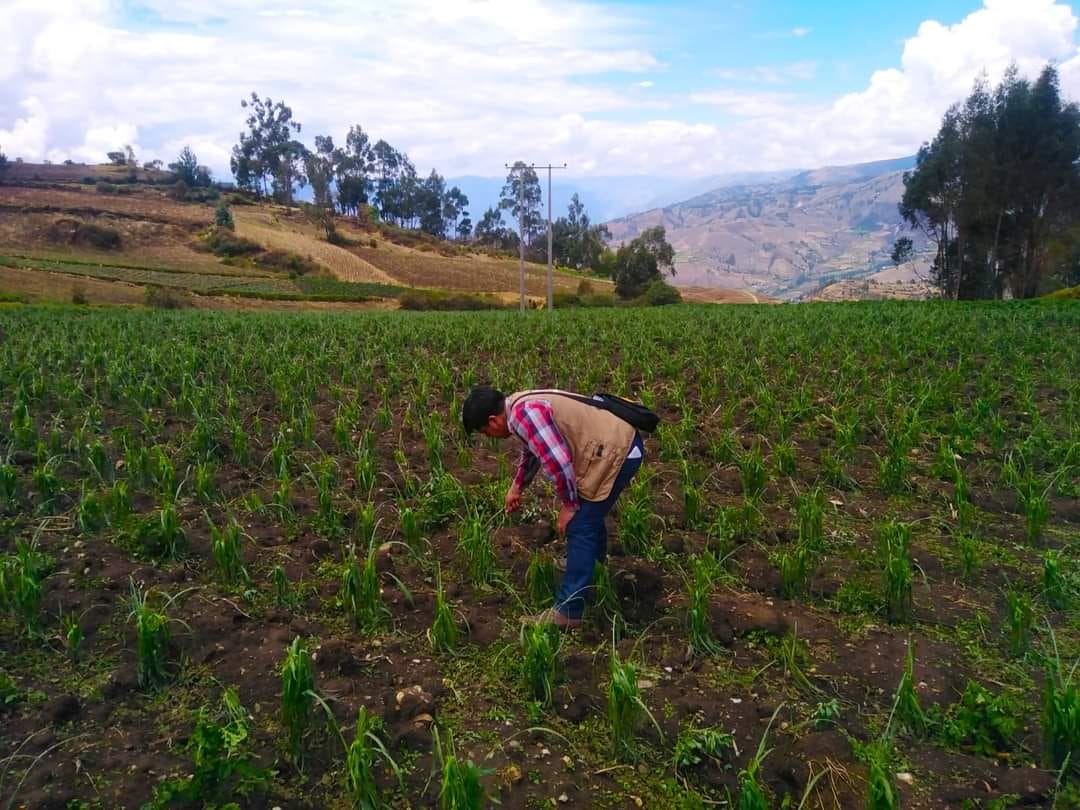 Gobernador Regional de Apurímac dispone medidas inmediatas tras evento climatológico en Curahuasi