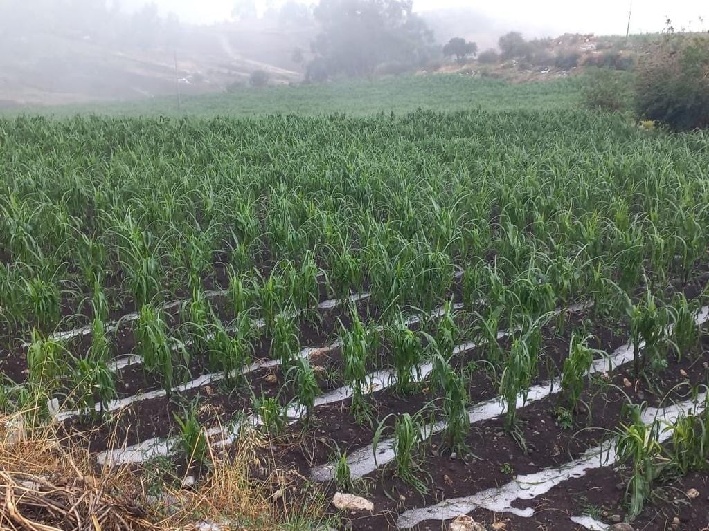 Gobernador Regional de Apurímac dispone medidas inmediatas tras evento climatológico en Curahuasi