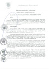 Vista preliminar de documento RA 151-2021