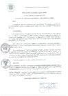 Vista preliminar de documento RA 155-2021