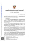 Vista preliminar de documento RDR 1351-2023-DRELM