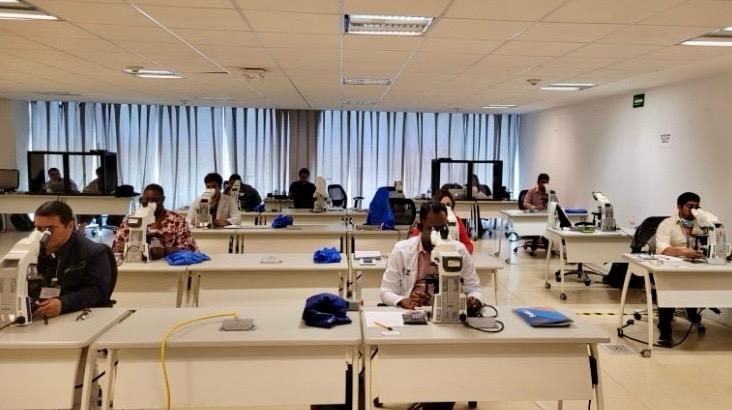 Laboratorio del INS recibe la más alta calificación para el diagnóstico de la malaria