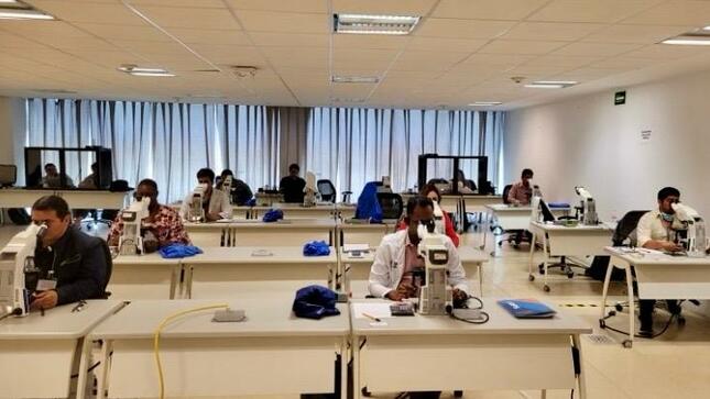 Laboratorio del INS recibe la más alta calificación para el diagnóstico de la malaria