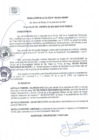 Vista preliminar de documento RA 166-2021
