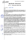 Vista preliminar de documento RESOLUCION DIRECTORAL Nº432-2023-GRH-DRS-HTM