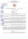 Vista preliminar de documento RD N 623