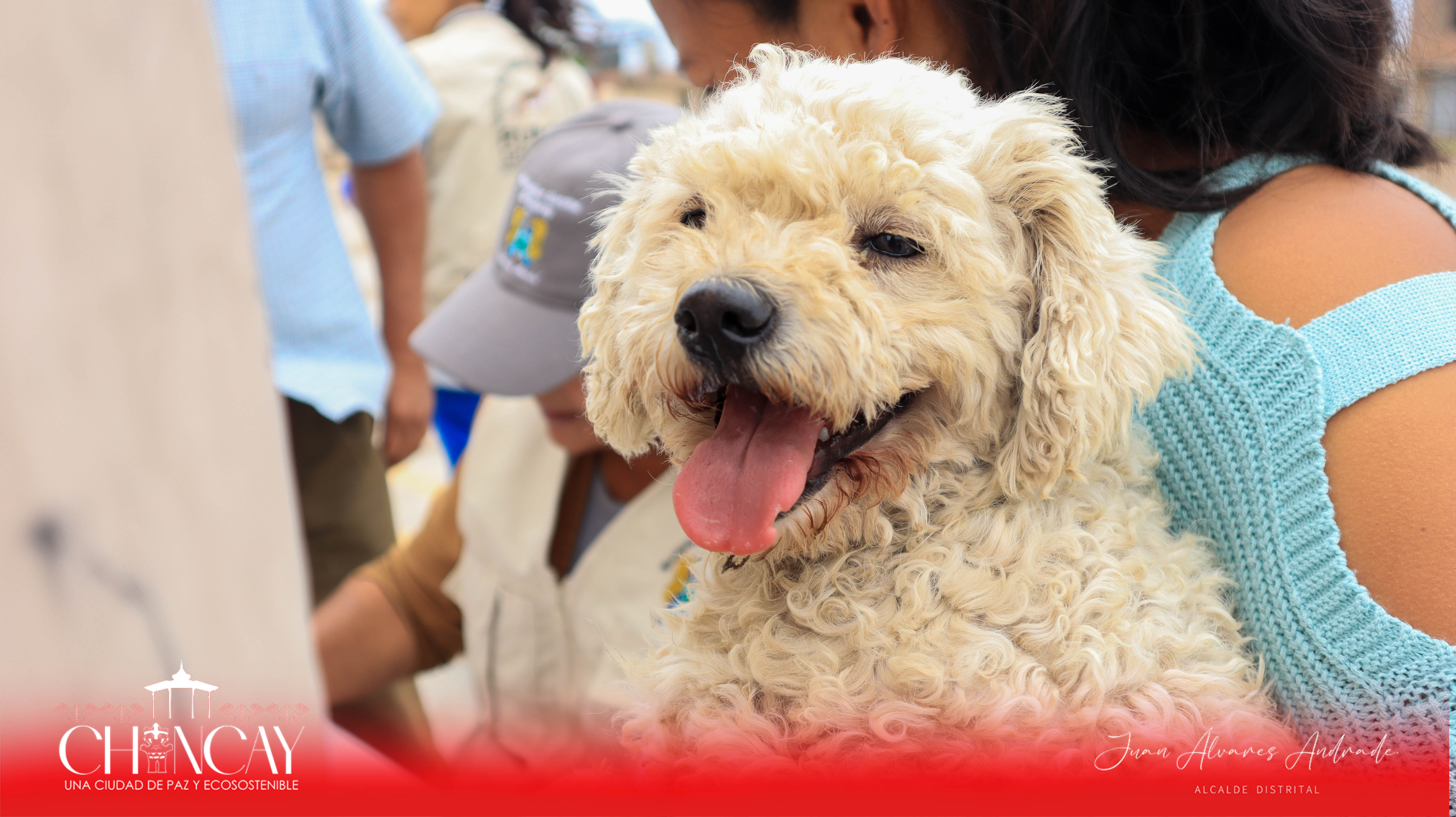 Organizado por el Registro Único Municipal de Mascotas (RUMM), este evento ha sido un paso significativo hacia el cuidado y protección de nuestras adoradas mascotas.