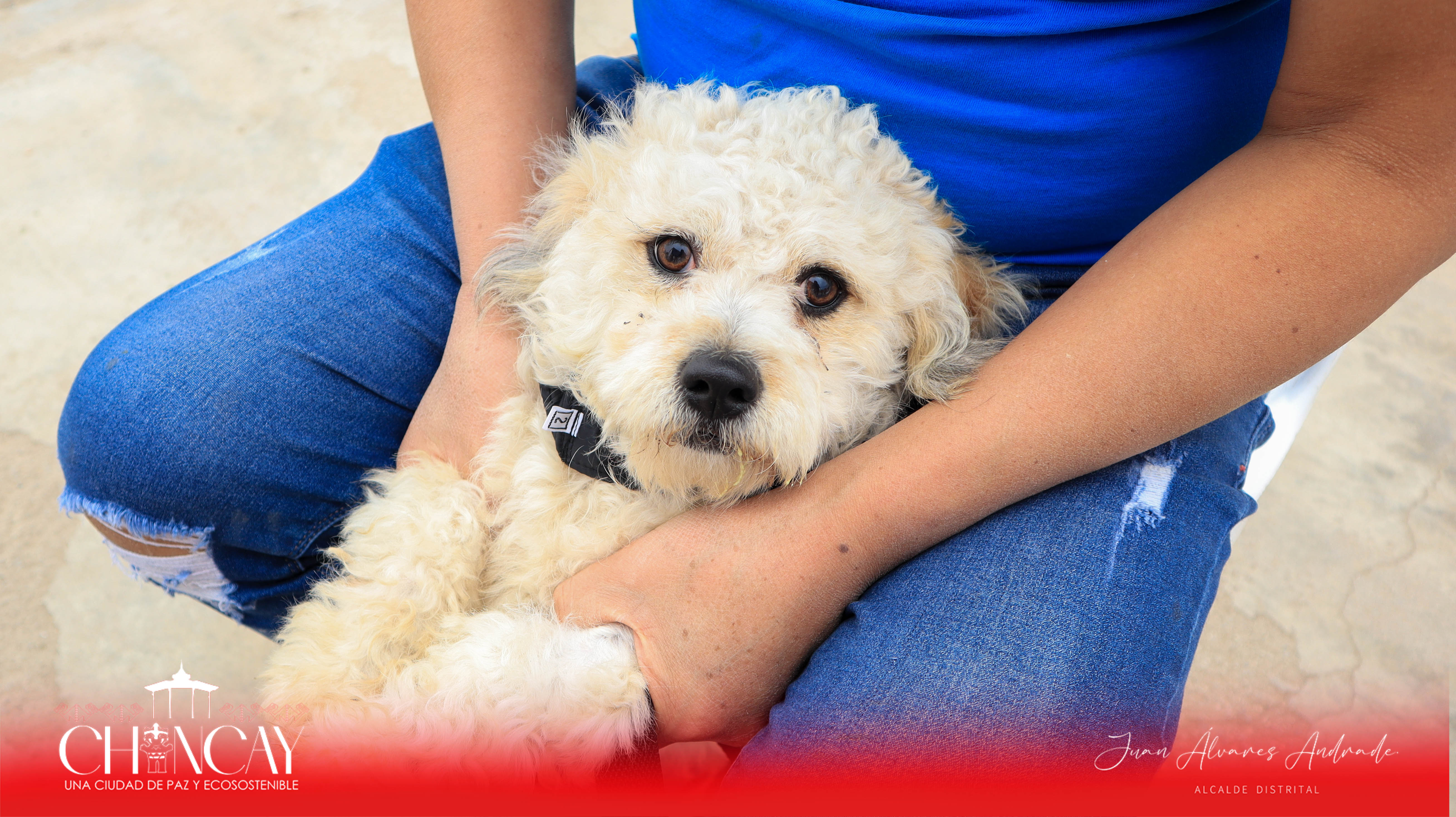 Organizado por el Registro Único Municipal de Mascotas (RUMM), este evento ha sido un paso significativo hacia el cuidado y protección de nuestras adoradas mascotas.