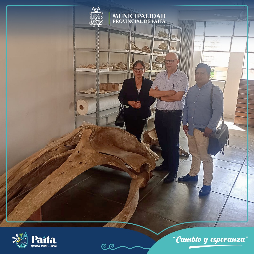 Municipalidad de Paita y el instituto de paleontología de la UNP mantuvieron importante reunión