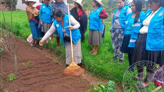 Implementan biohuertos en siete comunidades de Los Baños del Inca