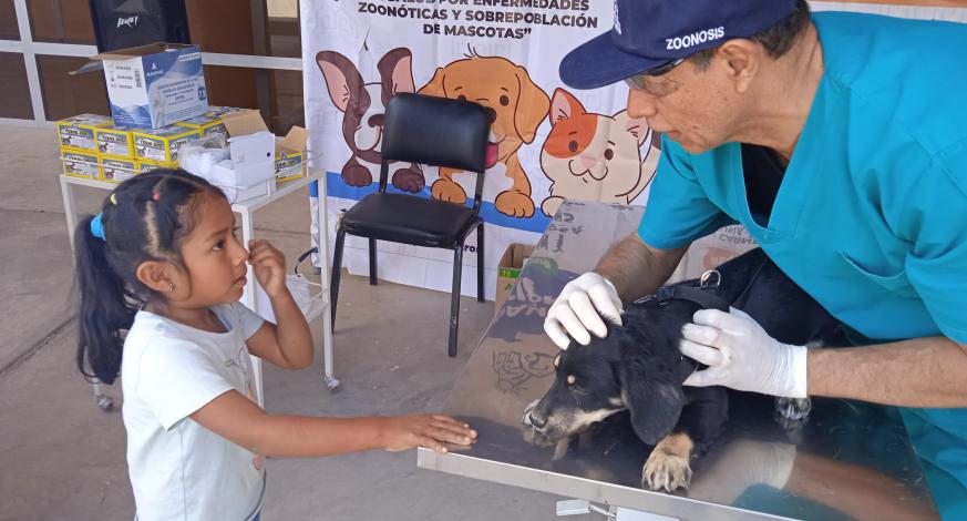 Mediante la Unidad Funcional de Zoonosis de la comuna provincial hoy en Chen Chen se realizó la “Campaña de prevención y control para evitar riesgos a la salud por enfermedades zoonóticas y sobrepoblación de mascotas”, donde familias se apersonaron con sus mascotas, cumpliendo responsablemente con el cuidado respectivo.