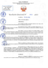 Vista preliminar de documento RD N 633