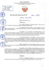 Vista preliminar de documento RD N 638