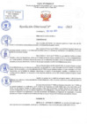 Vista preliminar de documento RD N 642