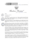 Vista preliminar de documento RD 222-2023-DG-HSB