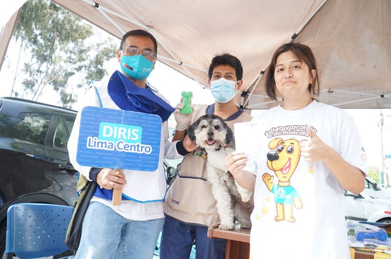 Foto 1 de Más de 123 mil perros de Lima Centro fueron vacunados contra la rabia canina en la Campaña "VAN CAN 2023"