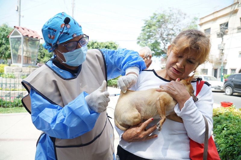Foto 2 de Más de 123 mil perros de Lima Centro fueron vacunados contra la rabia canina en la Campaña "VAN CAN 2023"