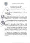 Vista preliminar de documento RA 186-2021