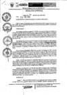 Vista preliminar de documento Resolución Gerencial