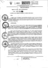 Vista preliminar de documento Resolución Gerencial