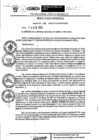 Vista preliminar de documento Resolución Gerencial