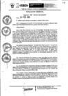 Vista preliminar de documento Resolución Gerencial