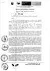 Vista preliminar de documento Resolución Gerencial