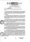 Vista preliminar de documento Resolución Gerencial
