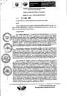 Vista preliminar de documento Resolución Gerencial