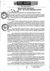Vista preliminar de documento Resolución Gerencial