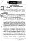 Vista preliminar de documento Resolución Gerencial