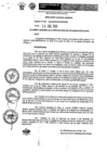 Vista preliminar de documento Resolución Gerencial
