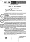 Vista preliminar de documento Resolución Gerencial