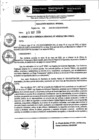 Vista preliminar de documento Resolución Gerencial