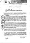 Vista preliminar de documento Resolución Gerencial