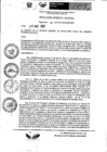 Vista preliminar de documento Resolución Gerencial