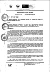 Vista preliminar de documento Resolución Gerencial