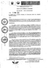 Vista preliminar de documento Resolución Gerencial
