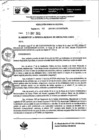 Vista preliminar de documento Resolución Gerencial