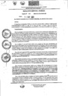Vista preliminar de documento Resolución Gerencial