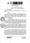 Vista preliminar de documento Resolución Gerencial