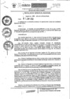 Vista preliminar de documento Resolución Gerencial