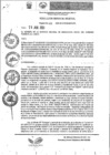 Vista preliminar de documento Resolución Gerencial